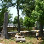 lowcounty tree removal